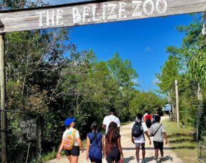 Belize Zoo