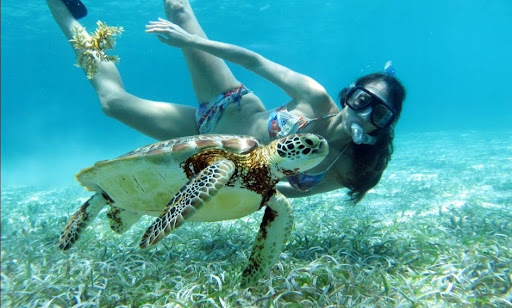 Hol-Chan marine snorkeling